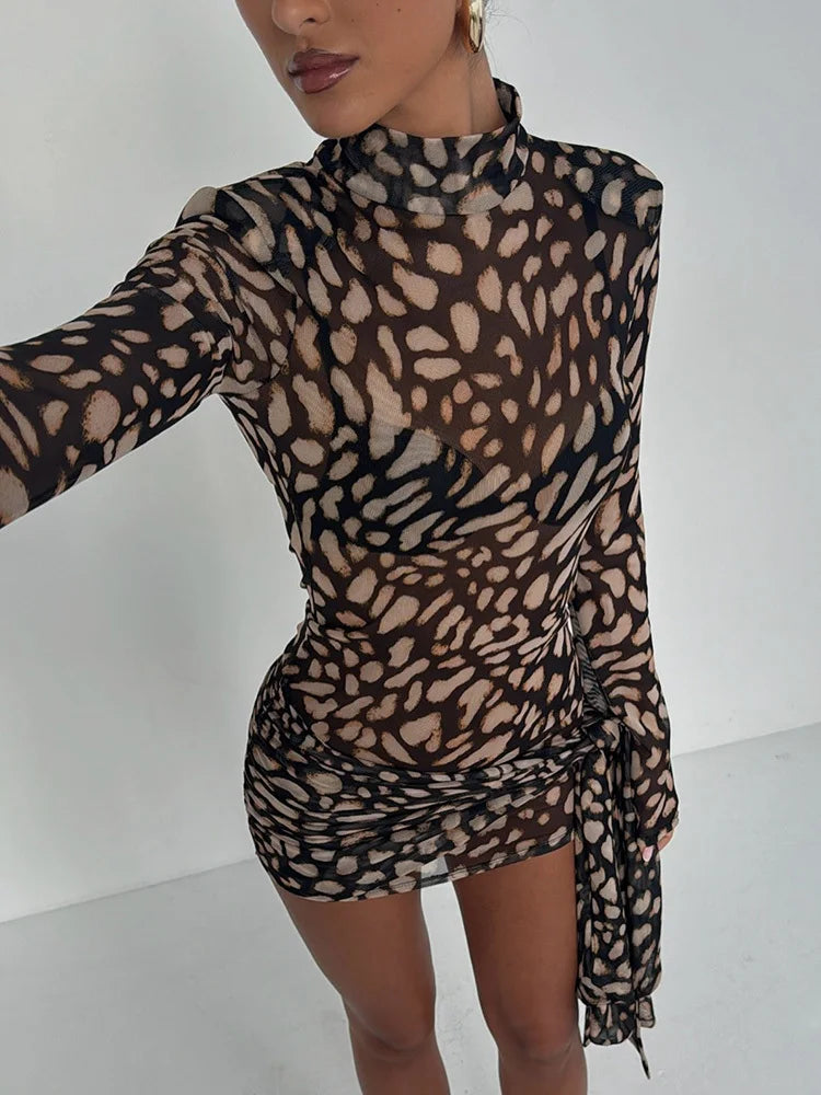Mesh Leopard Ruched Mini Dress