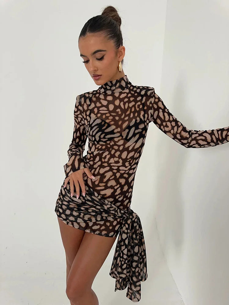 Mesh Leopard Ruched Mini Dress